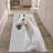 Soft Pile Printed Rug with Intricate Geometric Patterns Ideal for Enhancing the Aesthetic Appeal of Any Modern or Traditional Interior Living Space-1724643657