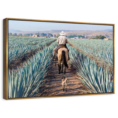 Inspecter la plantation d'agave