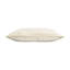 Velvet Lumbar Pillow Cover & Insert-532242813