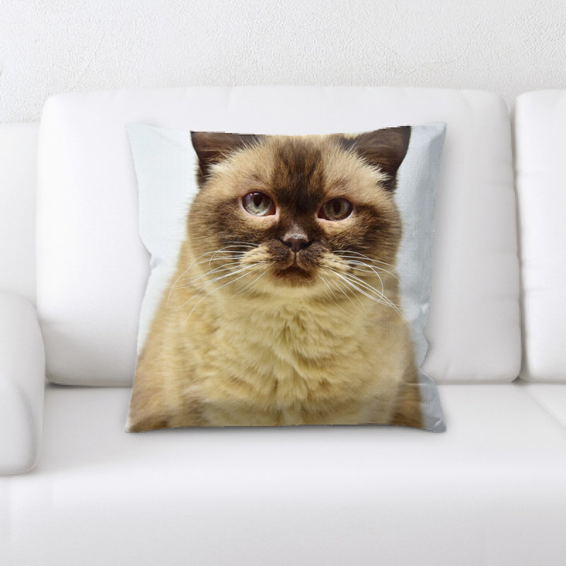 Microsuede Throw Pillow
