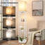 Lampe sur pied avec tablettes, 3 températures de couleur, conception à plateau ouvert, pour le salon, la chambre à coucher, le bureau-660281431