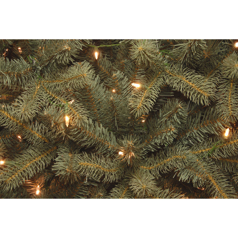 The Holiday Aisle® Downswept Douglas Blue Fir Tree with Clear Lights, 7.5' H