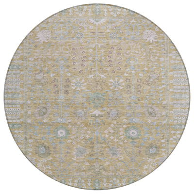 Machine Washable Indoor/Outdoor Brenden ACN2231 Global Rug