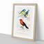 Bird Illustrations PL. 3B by Charles D' Orbigny - Single Picture Frame Painting-55457123-55457127