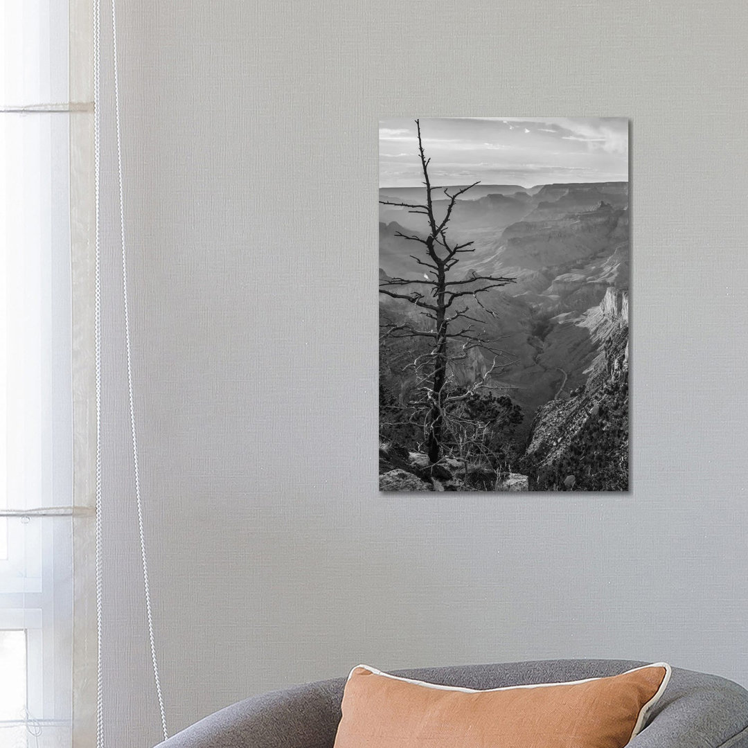 South Rim, Grand Canyon, Arizona von Tim Fitzharris - Gallery-Wrapped Canvas Giclée on Canvas