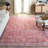 Arol Performance Machine Washable Oriental Rug-1170336506