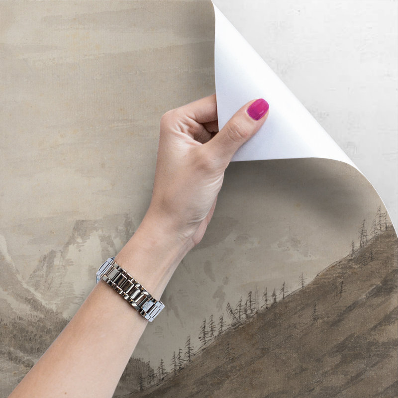 Xion 2.5m x 1.04m Matte Mural, 250 x 104cm