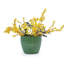 Pot de fleurs en céramique-941813637