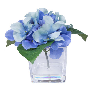 Hydrangea Arrangement in Vase