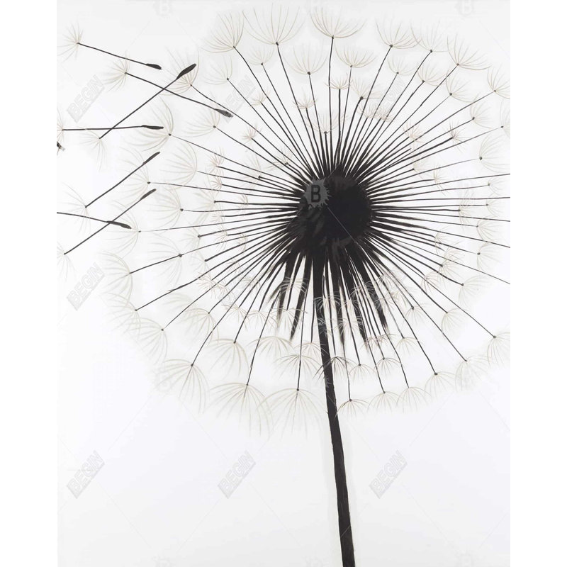 Silhouette Of Dandelion Print On Canvas, H 60 po x l 48 po