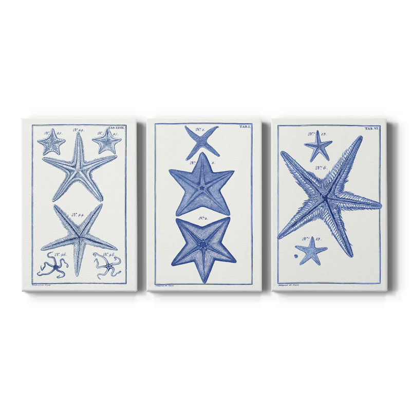 Blue Sea Stars I - Toile tendue avec châssis sur mesure - 3 pièces, H 12 po x l 24 po