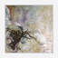 Mystic Print by John Beard-809800013-809800015