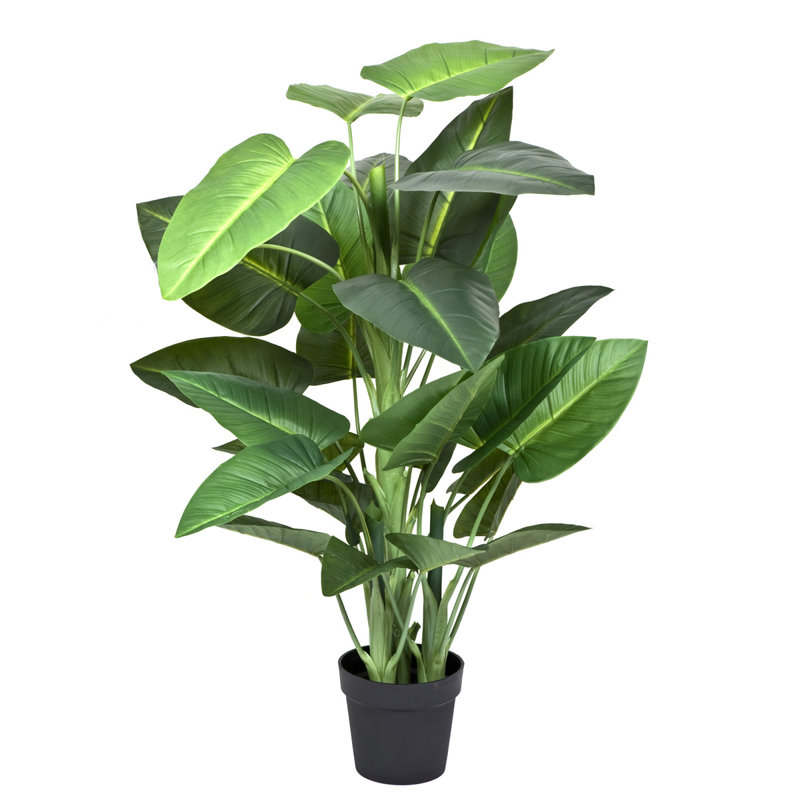Plant, 136cm H x 21cm W x 21cm D