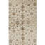 Floral Area Rug in Ivory/Brown