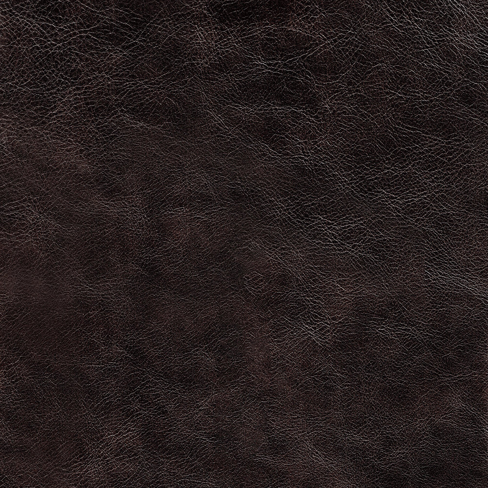 Tryston 60" Genuine Leather Loveseat