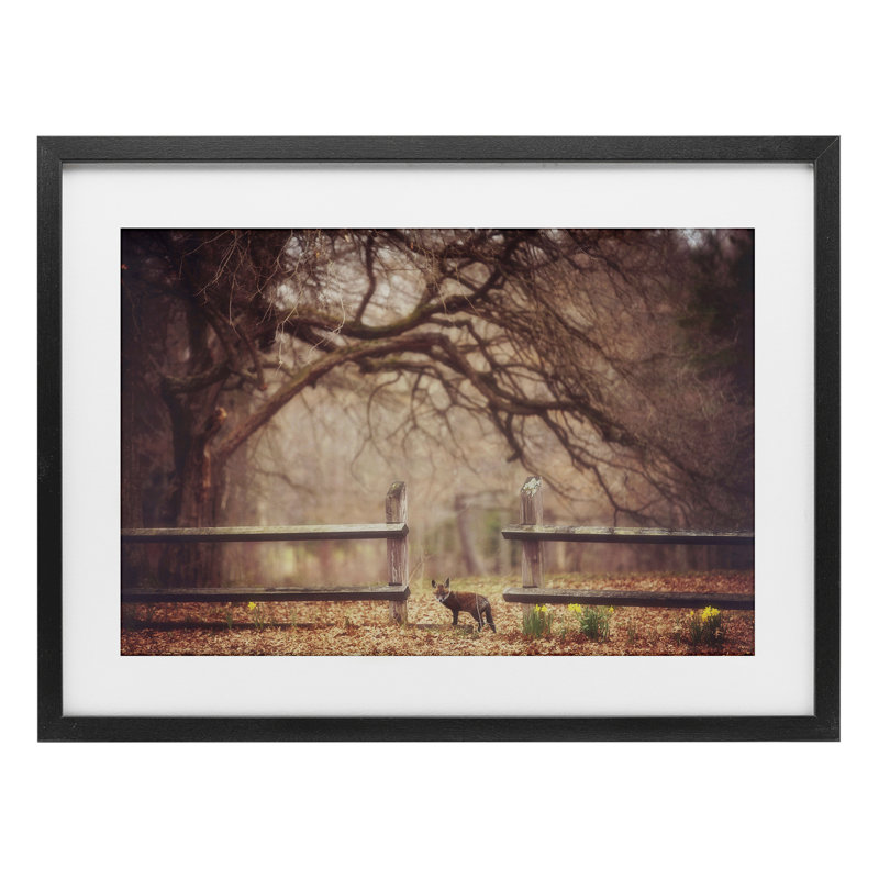 «Sly Guy Fox in Forest», reproduction encadrée sous verre, conception de Carrie Ann Grippo-Pike, H 14 po x l 20 po