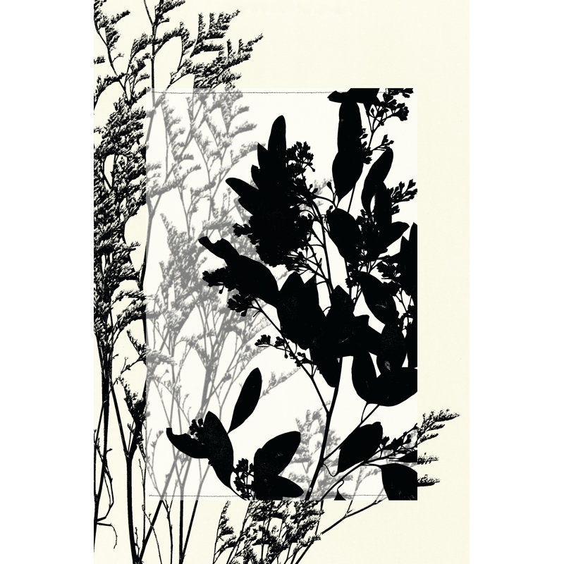 Translucent Wildflowers X by Jennifer Goldberger - Wrapped Canvas Print, 122cm H x 81cm W x 3.8cm D