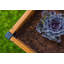 Lit de jardin surélevé en bois Mezza-399238552