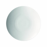 Porcelain Dinner Plate