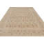 Hand Knotted Area Rug