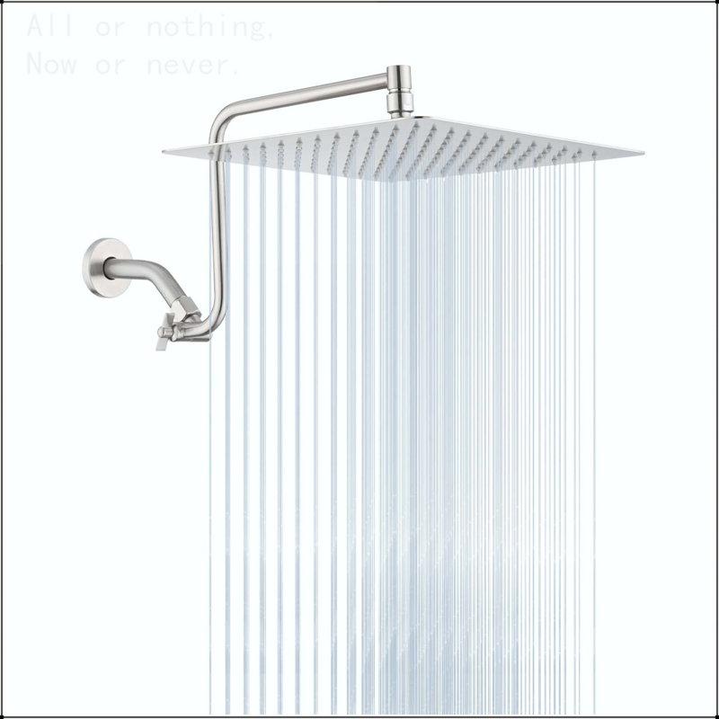 Pomme de douche à haute pression à bras réglable 12 po, pomme de douche fixe, Nickel brossé