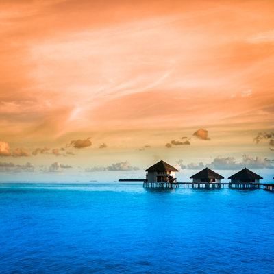 Over Over Bun Bunings par Fotomaximum - Photographie sur toile tendue