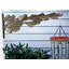 Pinecone Nature Bracket-1645894303