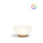 Luna Lamp 23.5" RGBW-1012468997-1012469005-1012469009