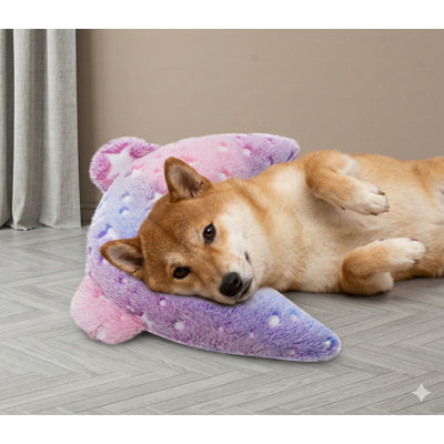 Coussin pour chien Glow-in-the-Dark