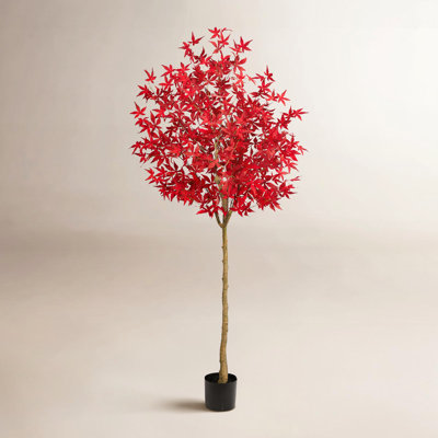 Maple Tree with Base Included