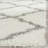 Alonnah Sgd-Dallas Shag Performance Geometric Rug-846009264