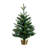 White 2' Pre-Lit Pine Christmas Tree