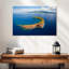Gillard Molokini Crater Island-108872158