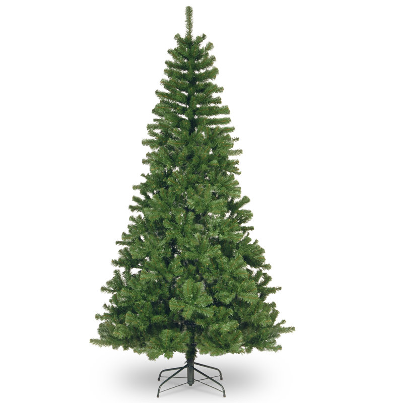 Canadian Grande Fir Tree, 7.5' H