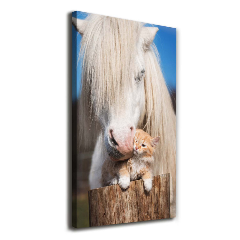 White Horse With A Cat - Wrapped Canvas Print