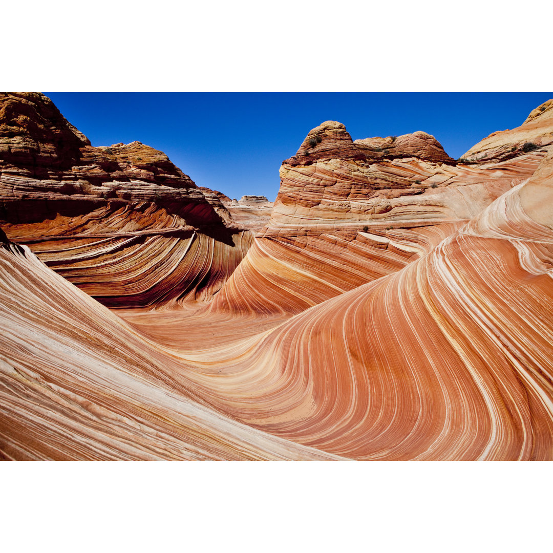 Leinwandbild Die Welle, Coyote Buttes