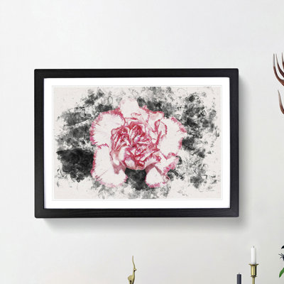 Pink Carnation Flower - Framed Print