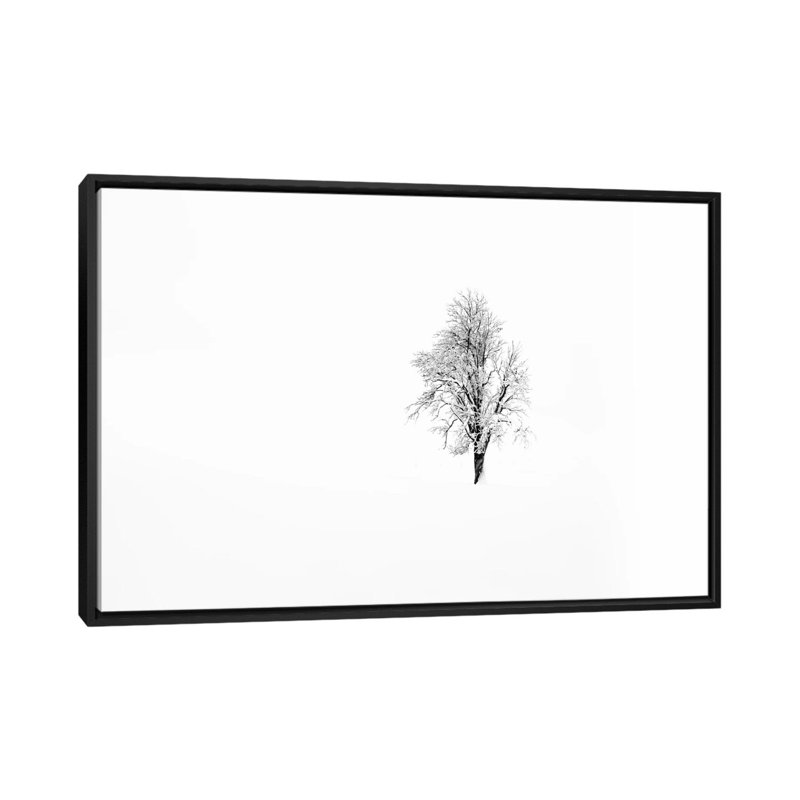 «Nature I», reproduction sur toile, H 18 po x l 26 po x P 1,5 po, Toile encadrée noire