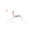 Antilope - impression d'art graphique-52839112-52839135-52839118