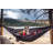 Travelnest Hammock + Straps Combo-83652066
