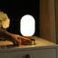 Lampe de bureau 8 po Wint-135239835