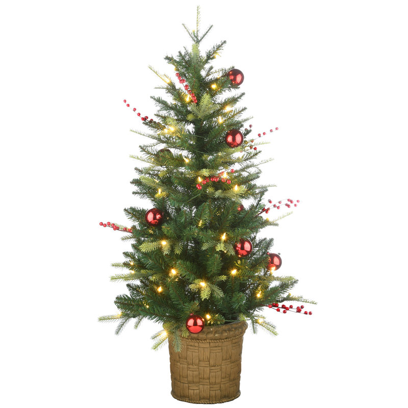 Sapin d'entrée 4 pi avec lumières DEL The Holiday Aisle® First Traditions Scotch Creek