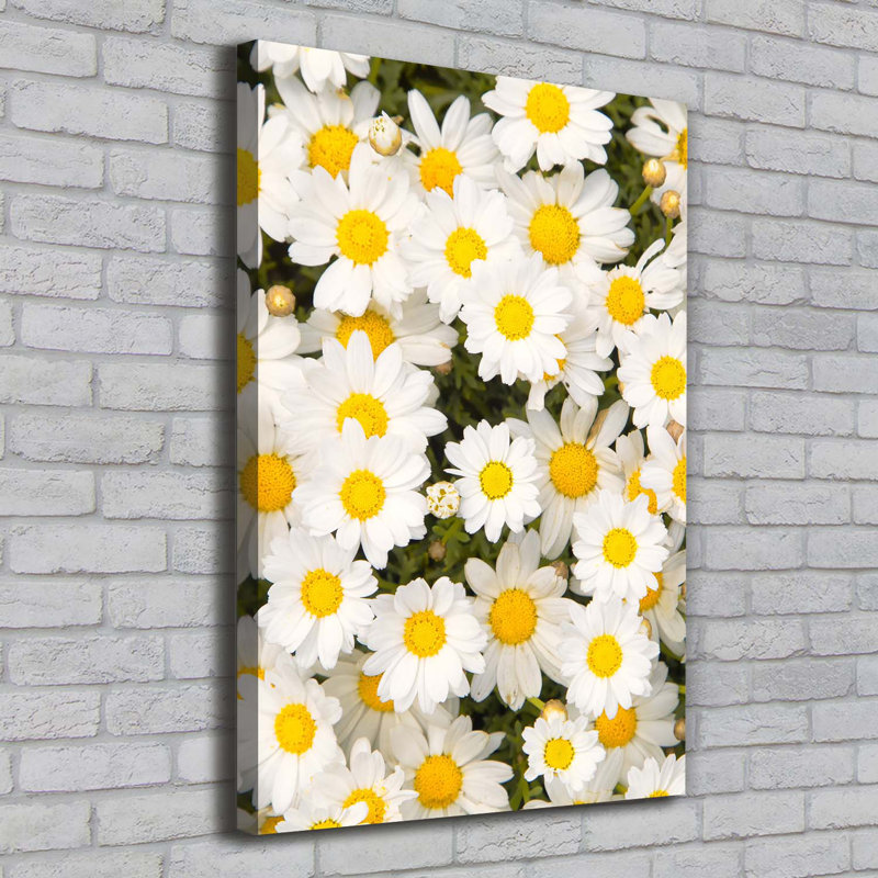 Daisy Flowers - Wrapped Canvas Print