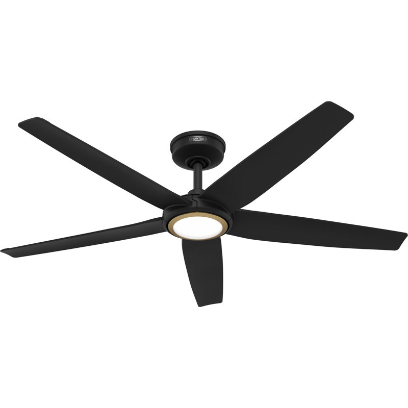Ventilateur de plafond à 5 pales avec technologie DEL ENERGY STAR® Hunter 52 po avec ensemble d'éclairage DEL Hunter et télécommande portable Hunter
