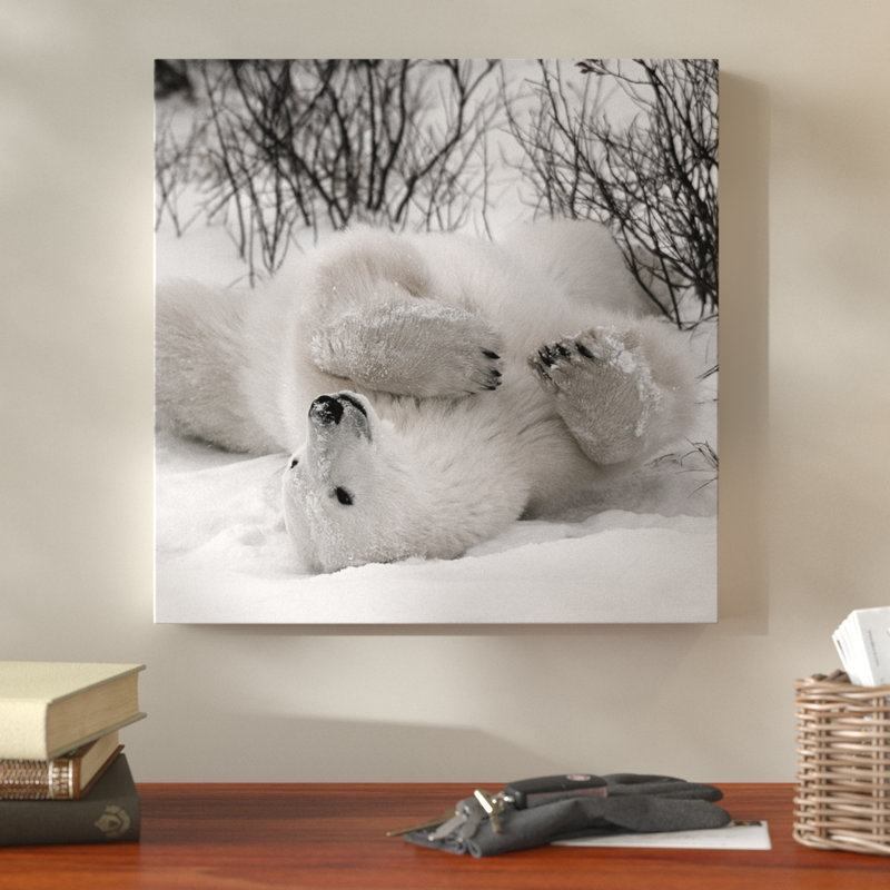 «Hudson Bay Bear», photographie, Toile tendue, H 10 po x l 10 po x P 1,5 po