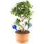 Piquets pour globe de verre Keshia