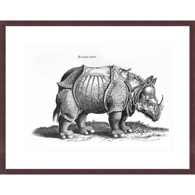 «Rhinoceros no 76» par «historique animal» par Conrad Gesner (1516-65) par Albrecht Dürer, impression giclée encadrée