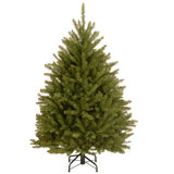 Dunhill Fir Tree
