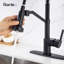 Rainlex Pull Down Kitchen Faucet
