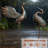 Standing Garden Crane Statues for Outdoor, Metal Birds Yard Art Garden Crane Sculpture for Home Backyard Pond Patio Lawn Spring Decoration